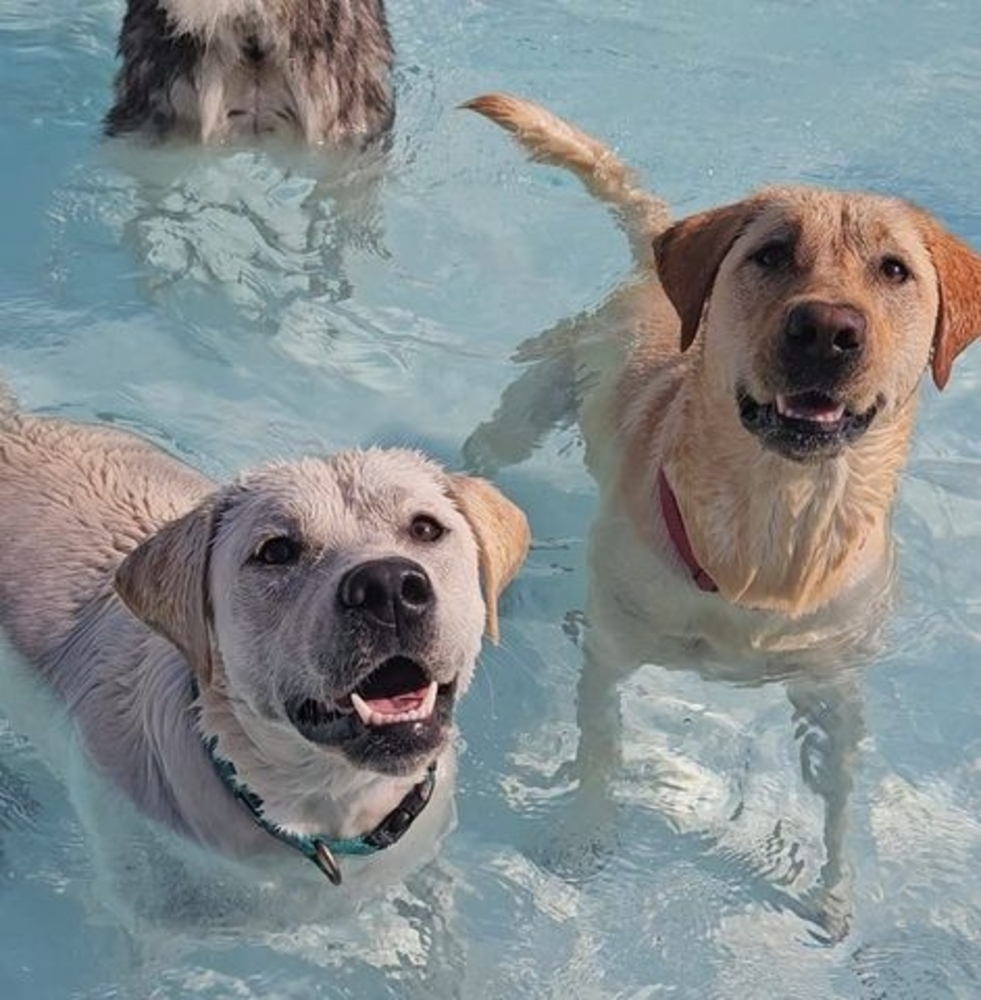 Meet your Posher, Mary